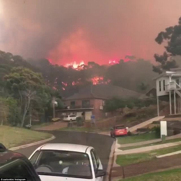 70幢房屋被烧毁！新州南部山火彻底失控 滨海小镇已成“人间地狱”（组图/视频） - 4