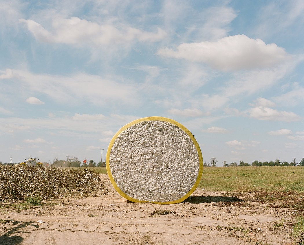 密西西比州克拉克斯代尔田野中的一大捆棉花。