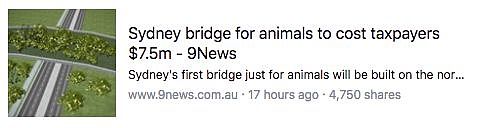 悉尼花750万澳币造了座动物天桥，对你没看错，上面走的都是袋鼠考拉...严禁人类通行！ - 22