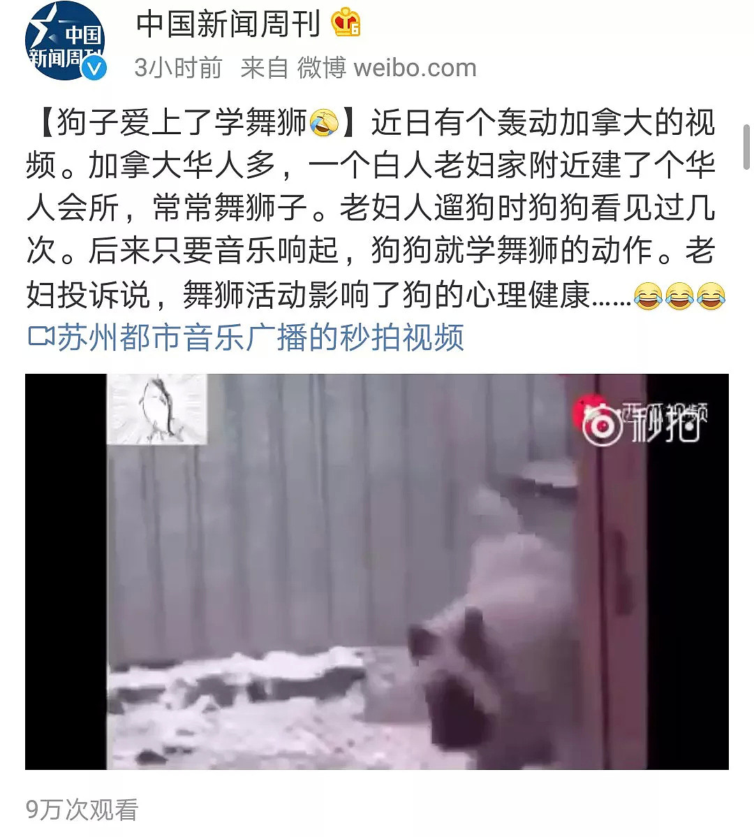 华人会所舞狮弄疯白人老太的狗！加拿大最轰动视频都火到中国了…（视频/组图） - 4