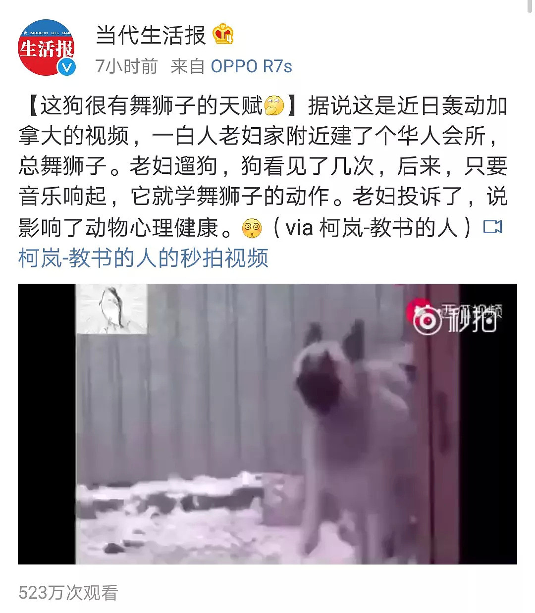 华人会所舞狮弄疯白人老太的狗！加拿大最轰动视频都火到中国了…（视频/组图） - 5