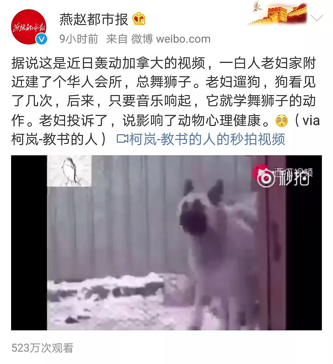 华人会所舞狮弄疯白人老太的狗！加拿大最轰动视频都火到中国了…（视频/组图） - 6