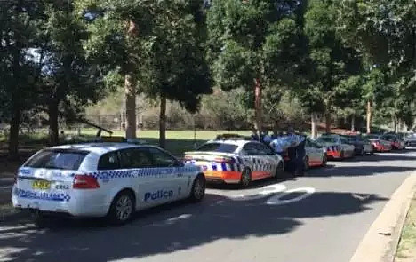 悉尼公园的小树林里，大批警察偷偷猫在七辆警车后，蹲守一群骑自行车的人..... - 2