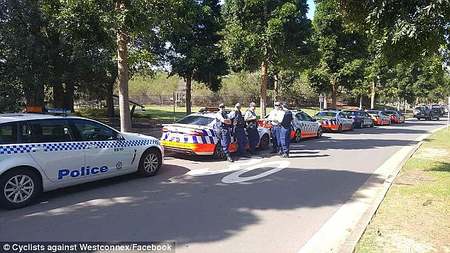悉尼公园的小树林里，大批警察偷偷猫在七辆警车后，蹲守一群骑自行车的人..... - 3