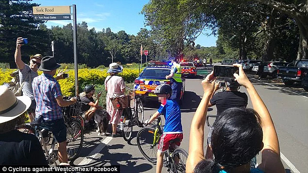 悉尼公园的小树林里，大批警察偷偷猫在七辆警车后，蹲守一群骑自行车的人..... - 7