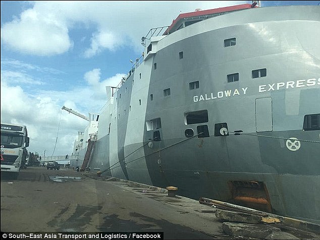 Queensland police are investigating what happened Filipino man who went overboard on livestock carrier MV Galloway Express between March 12 and March 13 (stock image)