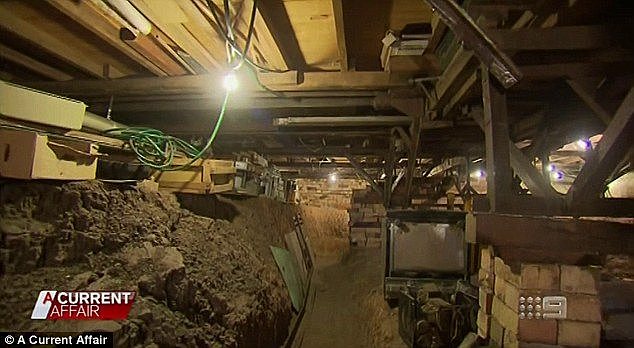 Mr Loncarevic said the four-metre deep bunker is 'nuclear proof' (pictured) which he created by removing 40,000 buckets of dirt and using 2500 bags of concrete