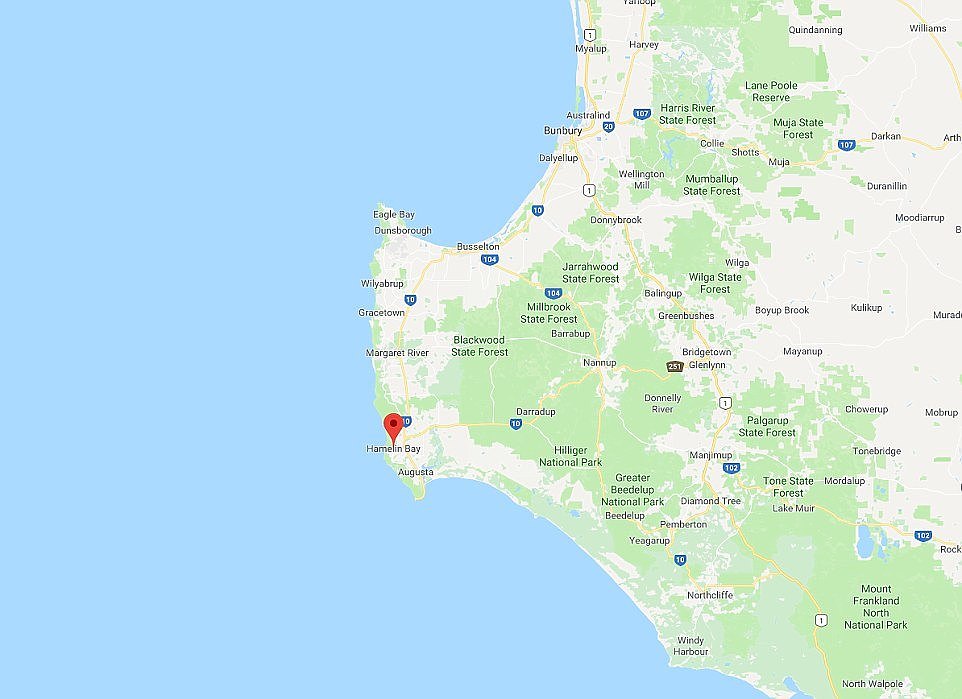 A map showing the location where the whales were found at at Hamelin Bay, 10km north of Augusta on the Western Australian coast