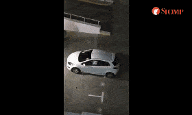 坡岛男女在停车场大尺度车震，全程被拍下......（组图） - 5