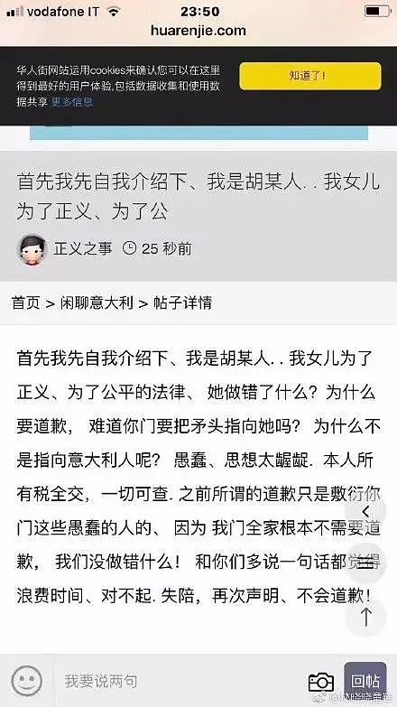 华人女孩帮媒体钓鱼拍摄中国黑司机，欧洲华人圈炸了！到底谁不对？（组图） - 16