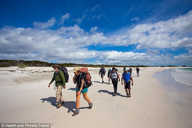 Together with a small group of no more than ten hikers, guests can enjoy a a four-day journey through the most dramatic landscapes along the coast of Mt. William National Park 