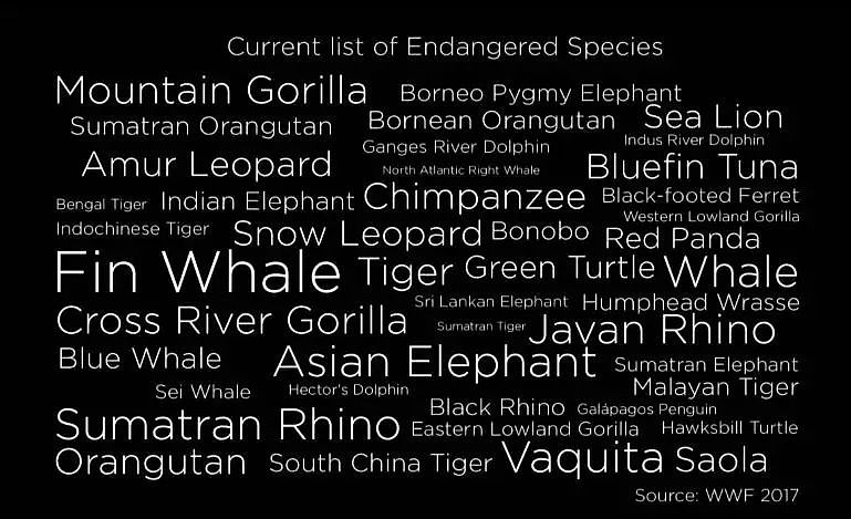 世界上最后一头雄性北白犀牛走了，我们结束了它们5000万年的历史，却还没来得及看它一眼（组图+视频） - 31