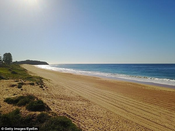 注意！悉尼人复活节千万不要去这个热门沙滩！恐怖鲨鱼出没或致命！ - 2