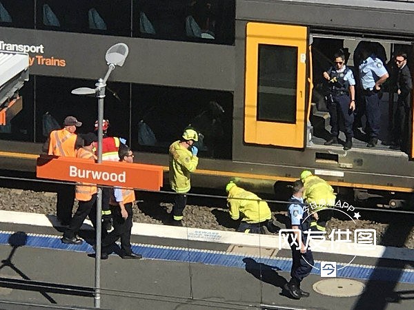 突发！悉尼Burwood火车站曝致死事件，疑有人卧轨！城铁营运大面积延误（视频 / 组图） - 16