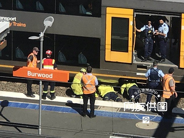 突发！悉尼Burwood火车站曝致死事件，疑有人卧轨！城铁营运大面积延误（视频 / 组图） - 17