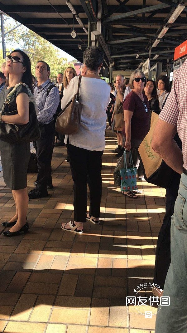 突发！悉尼Burwood火车站曝致死事件，疑有人卧轨！城铁营运大面积延误（视频 / 组图） - 13
