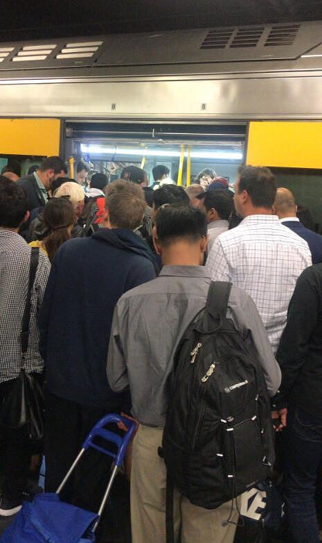 突发！悉尼Burwood火车站曝致死事件，疑有人卧轨！城铁营运大面积延误（视频 / 组图） - 3