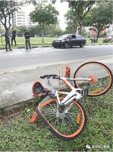 19岁中国孝女骑共享单车被撞，昏迷8天后命丧新加坡！（图） - 2