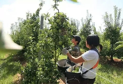 速速自查！澳洲卫生局警告：这款超市食品导致甲肝爆发，多人已中招！千万别买！赶紧转告家人。 - 30