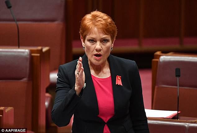 Senator Hanson (pictured) raised the issue of Students visas in the Senate in October last year