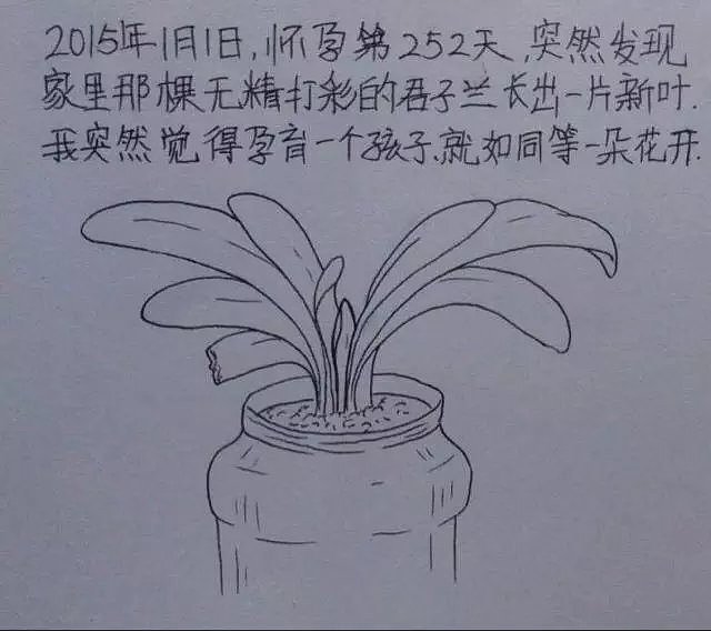 从结婚到怀孕，这个中国小伙把老婆日常画成漫画，看完笑着笑着就哭了…… - 82