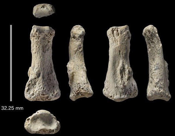 重大发现！澳科学家发现85000年前人类骨化石，将改写人类发展历史！ - 2