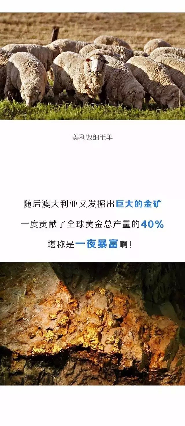 继中国简史之后,澳洲也出了个极简史!!你绝对想不到,它竟然是这样的一个澳大利亚... - 9