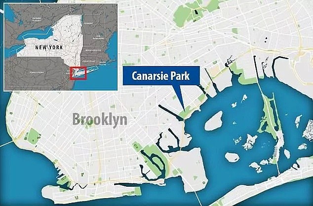 惊悚！纽约一公园惊现赤裸女尸，手脚已被砍断，尸体被分尸丢弃 - 2