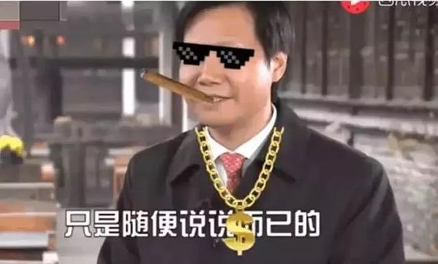 王健林服了，雷军：1000亿只是一个小目标的成功逻辑！