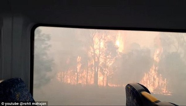 悉尼西南山火仍未扑灭 警方怀疑有人蓄意纵火！城铁列车穿越火场遭网友吐槽（组图/视频） - 7