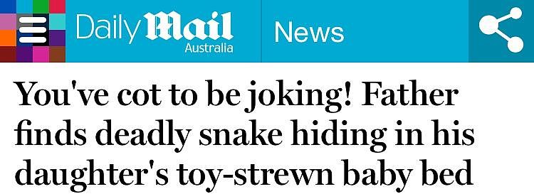 可怕！悉尼男子在女儿卧室里发现巨型蟒蛇！网友：有什么大惊小怪的！ - 6