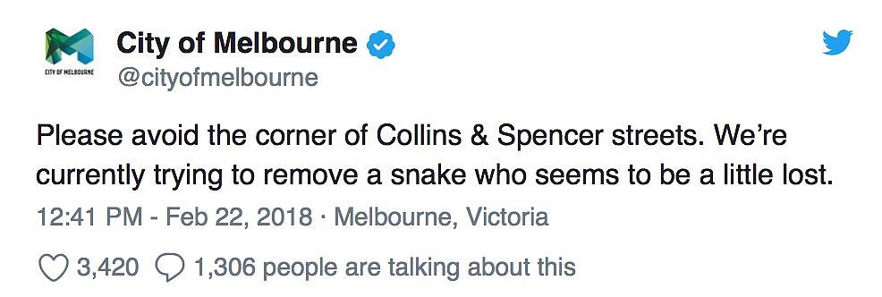 可怕！悉尼男子在女儿卧室里发现巨型蟒蛇！网友：有什么大惊小怪的！ - 15