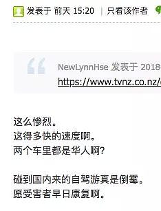 又出事了！中国游客自驾新西兰撞了中国老乡！现场惨烈！一车前脸全被摧毁… - 9