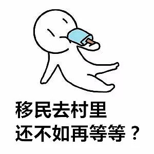 想要100%成功移民，是DIY还是找中介？ - 4