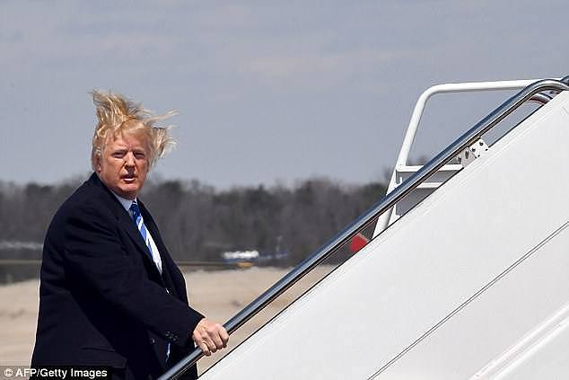 Donald Trump's hair (pictured) has been known to catch the wind at awkward moments sending the style into disarray 