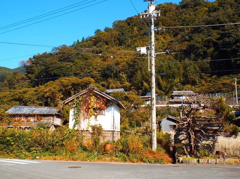 日本最“变态”小镇，15年“零垃圾”，一群65岁+老人，靠捡树叶个个年入千万！ - 24