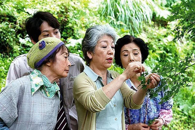 日本最“变态”小镇，15年“零垃圾”，一群65岁+老人，靠捡树叶个个年入千万！ - 28