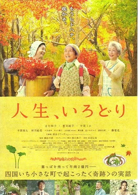 日本最“变态”小镇，15年“零垃圾”，一群65岁+老人，靠捡树叶个个年入千万！ - 30