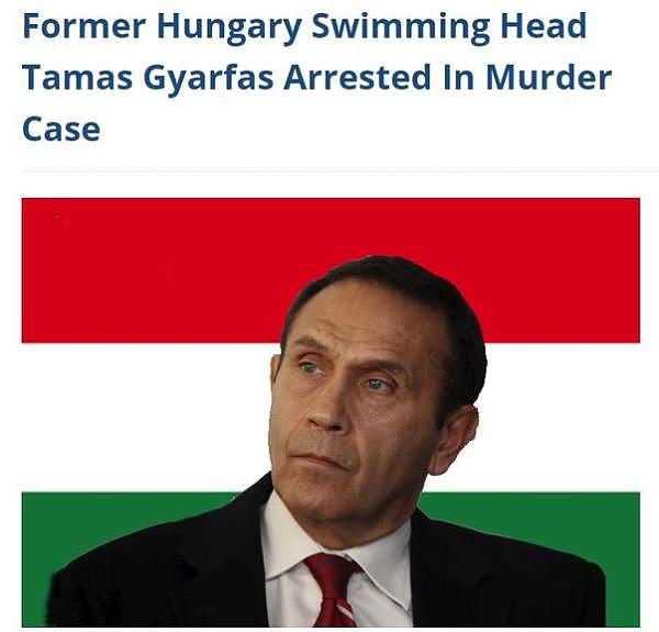买凶杀人，隐藏20年……国际泳联副主席竟是谋杀案主犯 - 2