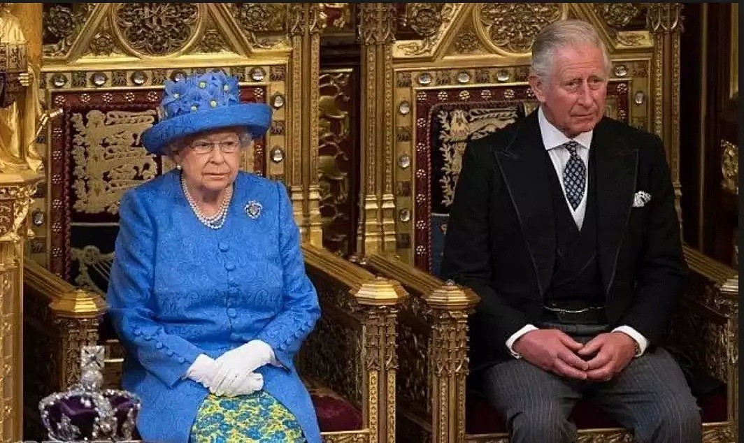 英女王首次公开支持查尔斯继位，终于熬出头了！ - 10