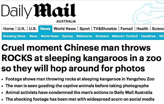 澳媒震怒：袋鼠在中国动物园被活活砸死，只因游客取乐！丢的不只是华人脸，简直把全人类的脸都丢光了！ - 3