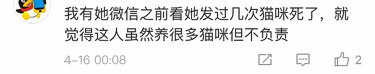 这对网红les骗了1000人，卷2000万跑路了！看到请报警好吗！ - 50