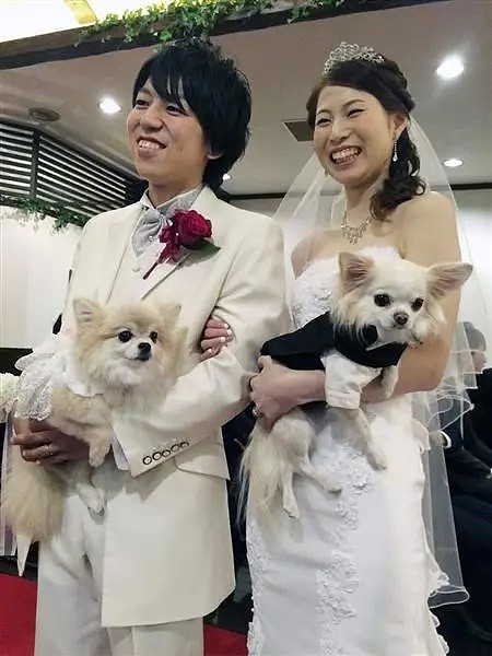 日本一妻子意外溺水死亡！3000万保险浮出水面后，警察盯上了她结婚三年的出轨丈夫… - 3