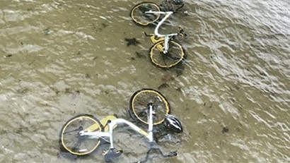 墨尔本Yarra River竟成共享单车“墓地” 政府一次性捞出80辆单车（图） - 2