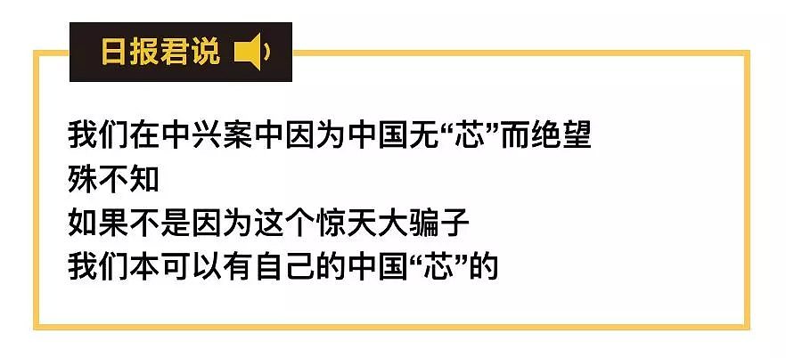 海归博士骗走国家上亿经费，几乎毁掉中国芯片行业，竟最后逍遥法外 - 2