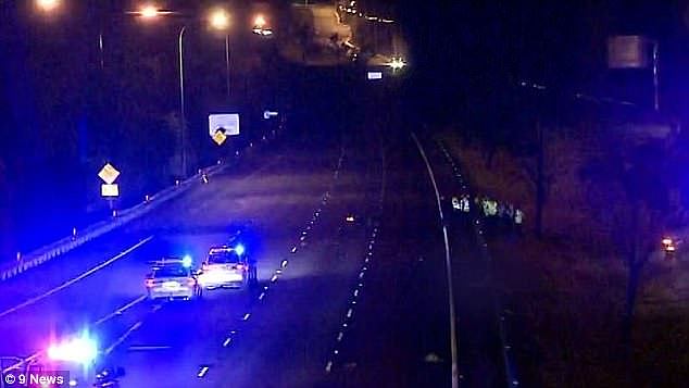 A motorcyclist has died after hitting a kangaroo on the M4 motorway in Sydney's west