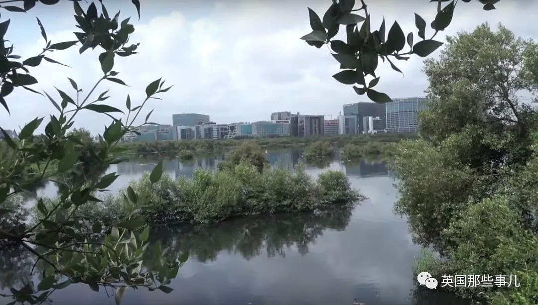 听腻了关于印度贫民窟的各种幺蛾子，这小哥亲自去住了几天（组图） - 20