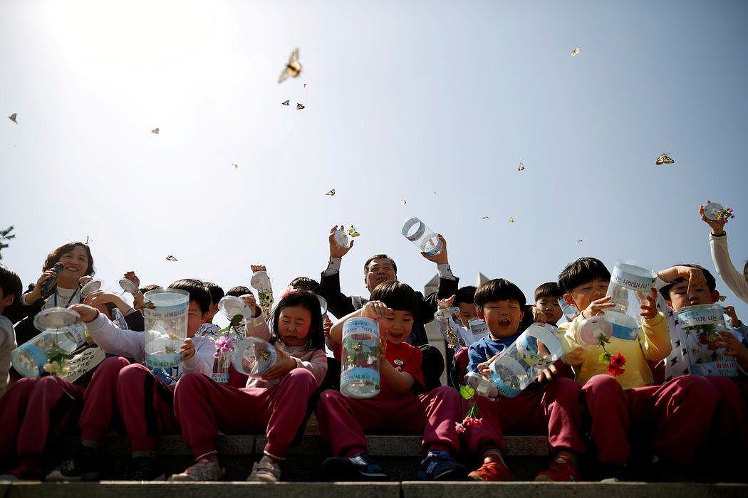 周三，韩国儿童在非军事区附近的坡州市放飞蝴蝶，这是呼吁朝韩领导人周五能成功进行会晤的活动的一部分。