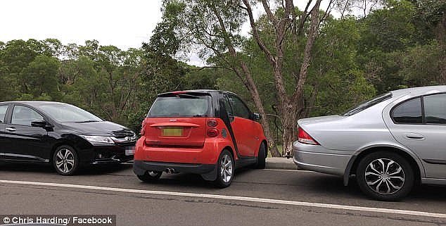 Despite not being a common sight in Australia, horizontal parking is a legitimate technique for small cars in Europe