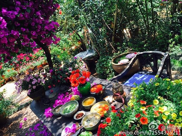杨丽萍拿鲜花饼请客，在私家花园挎竹篮采花，简直美如仙女！